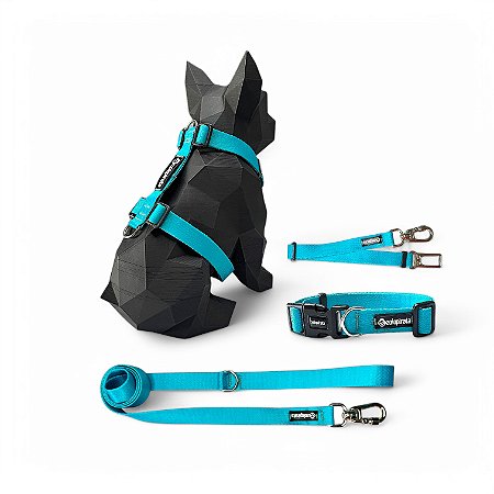 Kit 4 peças Passeio completo para cachorros Tiffany
