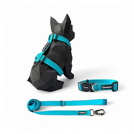 Kit Peitoral H antipuxão para cachorros com Coleira e Guia Tiffany