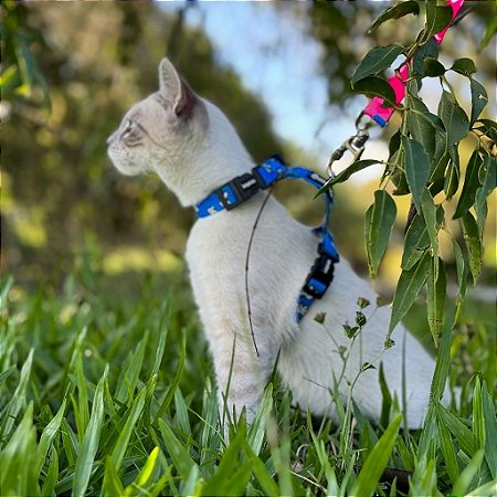 Peitoral para Gatos ou Cães Raça Mini com Guia Celeste