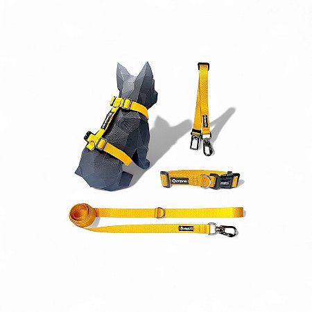 Kit 4 peças Passeio completo para cachorros Amarelo