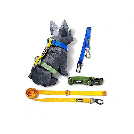 Kit 4 peças Passeio completo para cachorros Brasileiríssimo