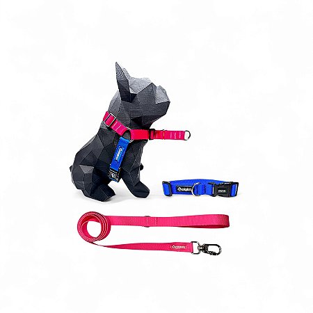 Kit Peitoral Y Antipuxão para cachorros com Coleira e Guia Frutti