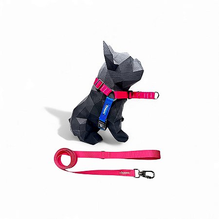 Kit Peitoral Y Antipuxão para cachorros com Guia Frutti