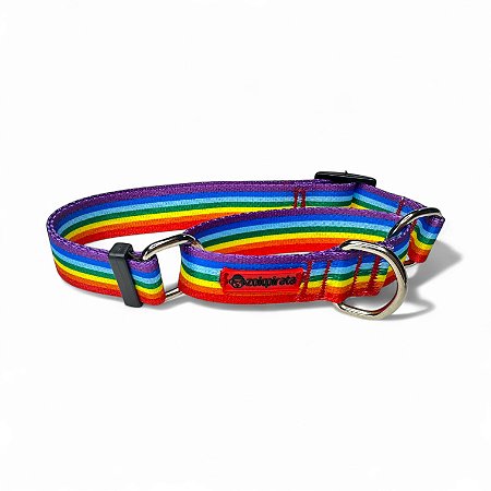 Coleira Martingale Antifuga para cachorros Arco-íris