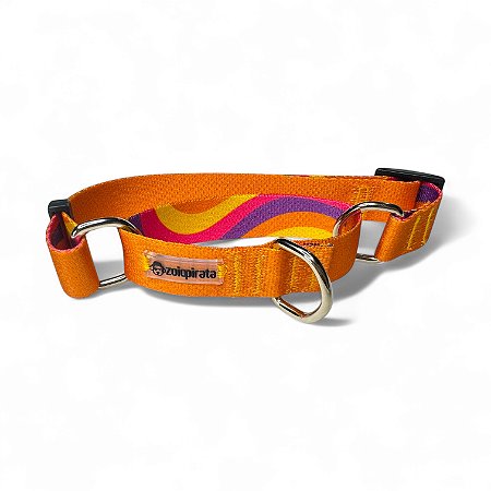 Coleira Martingale Antifuga para cachorros Gold