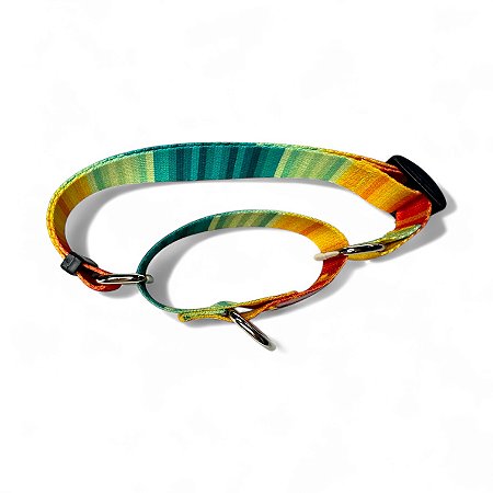 Coleira Martingale Antifuga para cachorros Jacuí