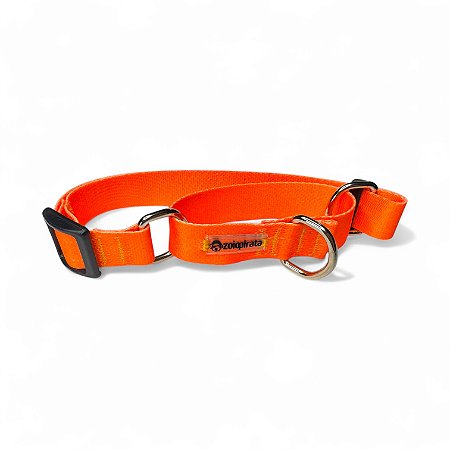 Coleira Martingale Antifuga para cachorros Neon Laranja