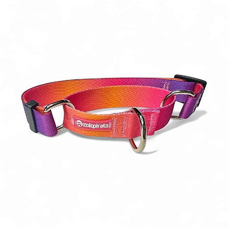 Coleira Martingale Antifuga para cachorros Sunset
