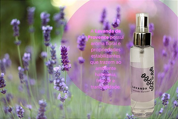 Aromatizadores de ambientes 100 ml - Lavanda