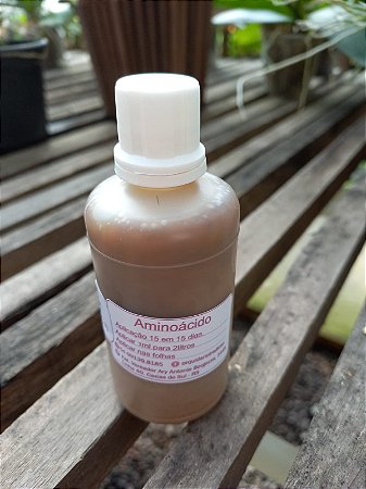 Aminoácido