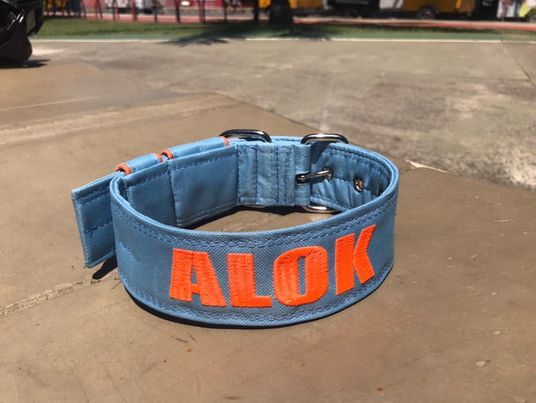 Coleira Personalizada