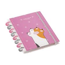 Planner Disco Permanente Inteligente 91fls Best Friends - BRW