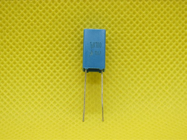 CAP POL 1MF/100V B32529D1105K289