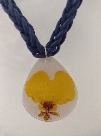 Coleção " Laçadas do Brasil " 1