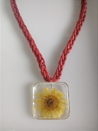 Coleção " Laçadas do Brasil " 2