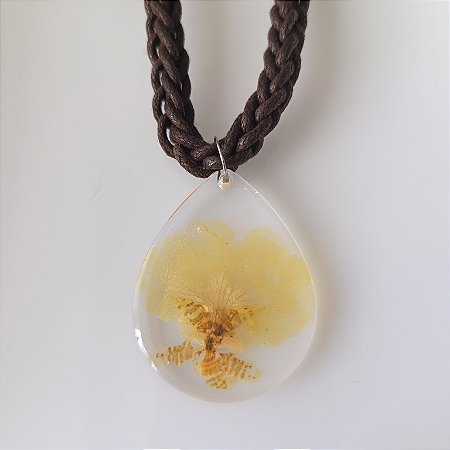 Coleção " Laçadas do Brasil " 21