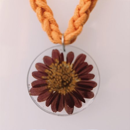 Coleção " Laçadas do Brasil " 41