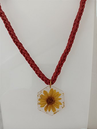 Coleção " Laçadas do Brasil " 43