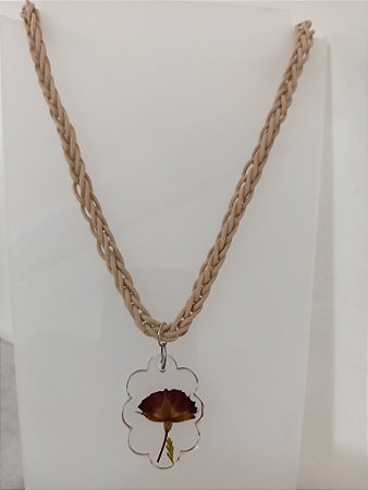 Coleção " Laçadas do Brasil " 45