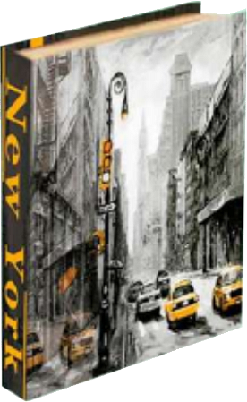 Caixa Livro Grande New York,  30x24x5