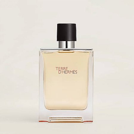 Perfume Terre D'Hermés Masculino Eau De Toilette 100ml