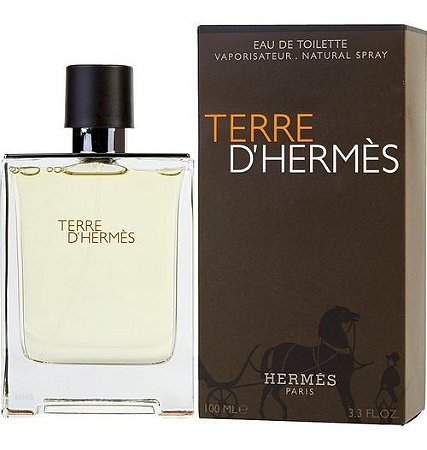 Perfume Terre D'Hermés Masculino Eau De Toilette 100ml
