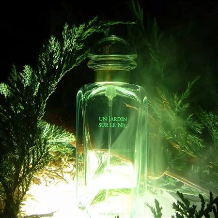 Perfume Un Jardin Sur Le Nil Hermes: Uma Viagem Olfativa pelas