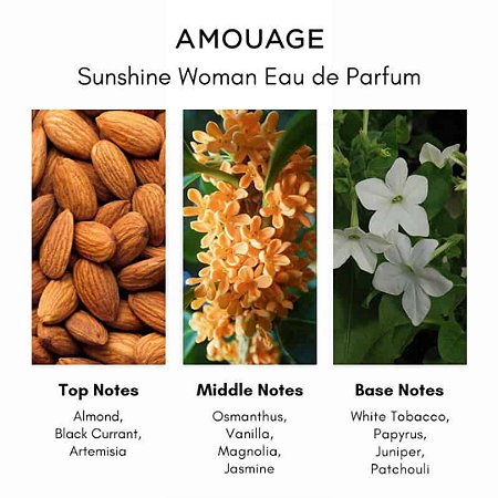 Perfume Exclusivo Luxo Amouage SunShine Woman - eau de parfum