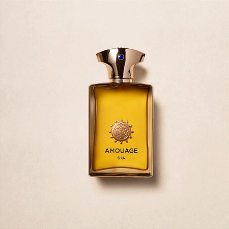 Perfume Exclusivo Luxo Amouage Dia Man - eau de parfum 100ml