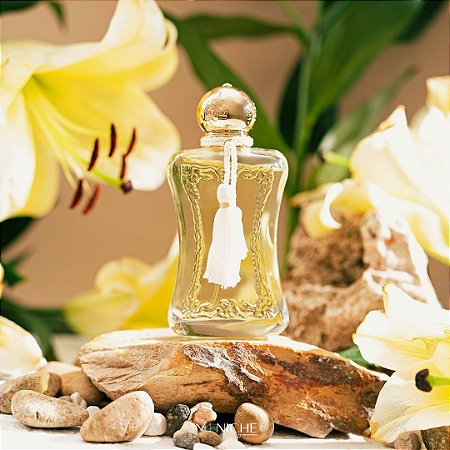 Perfume Luxo Meliora Parfums de marly Paris Eau de parfum Feminino