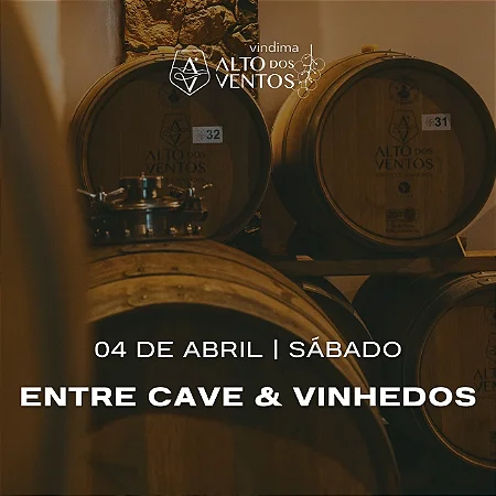 Entre Cave & Vinhedos