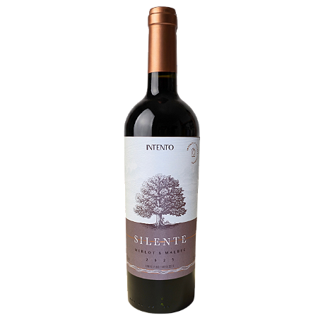 Intento - Silente 2025