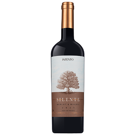 Intento - Silente 2025