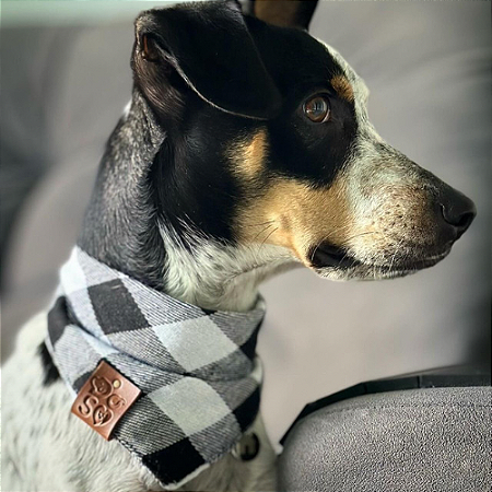 Bandana Xadrez Preto Pet