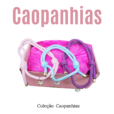 Caopanhias Box Pet