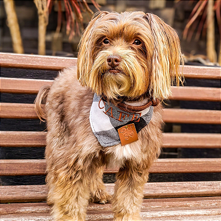 Bandana Pet personalizada Atacado - Escolha a arte