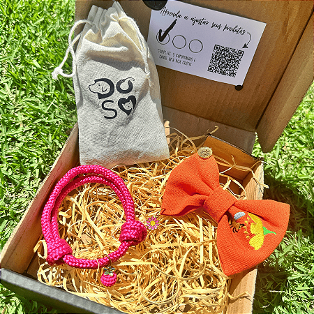 Box Assinatura mensal com Colar e Lacinho/Gravata personalizada SURPRESA