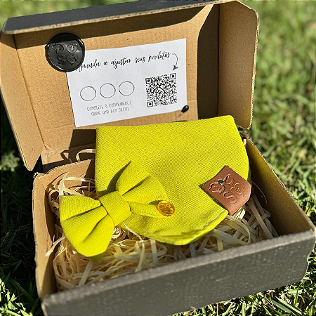 Box Assinatura mensal com lacinho/gravata e bandana SURPRESA