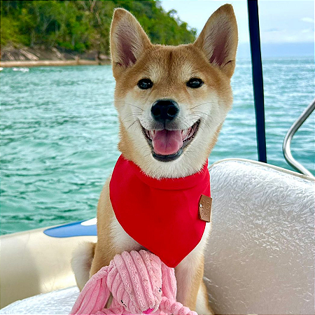 Bandana Pet Vermelha