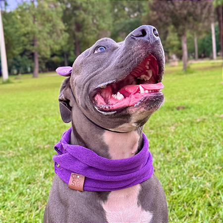 Cachecol Pet Roxo