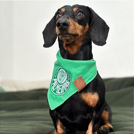Bandana Palmeiras