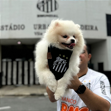 Bandana Pet Santos