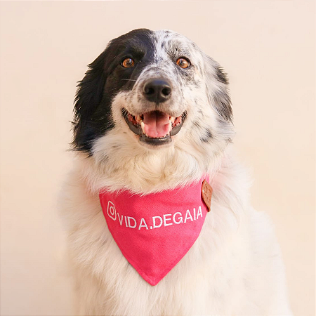 Bandana Rosa COM LOGO Instagram pet