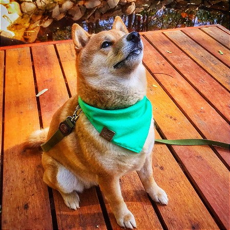 Bandana Verde Pet