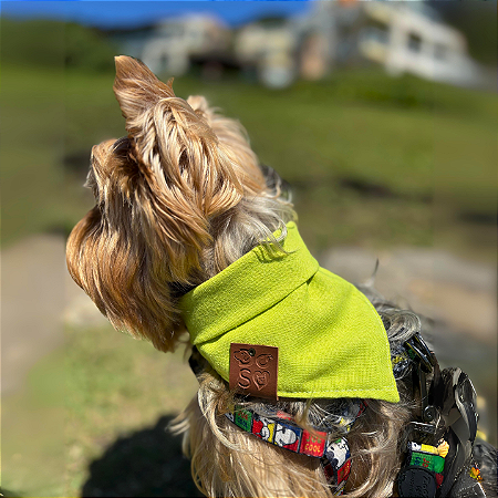 Bandana Pet Verde Limão