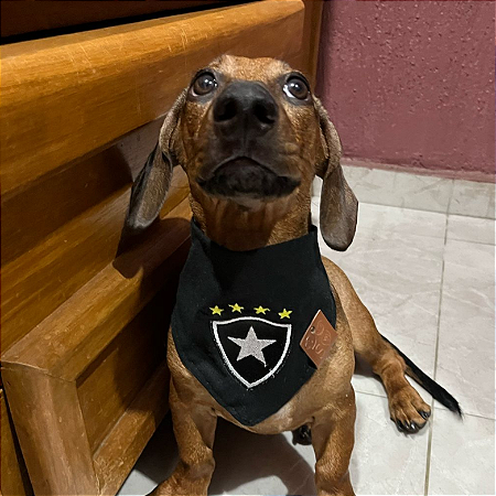 Bandana Pet Botafogo
