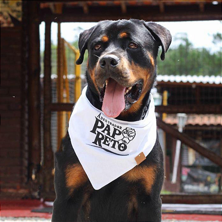 Escolha a bandana com sua logo