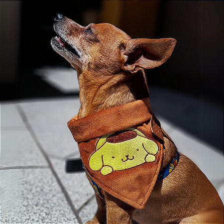 Bandana Pet Ursinho de Toca