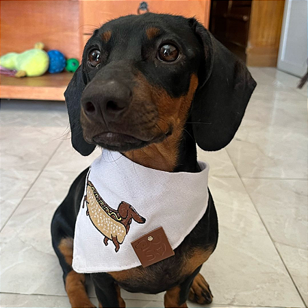 Bandana Pet Bordado Salsicha