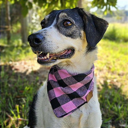 Bandana Pet Xadrez Rosa Bebe